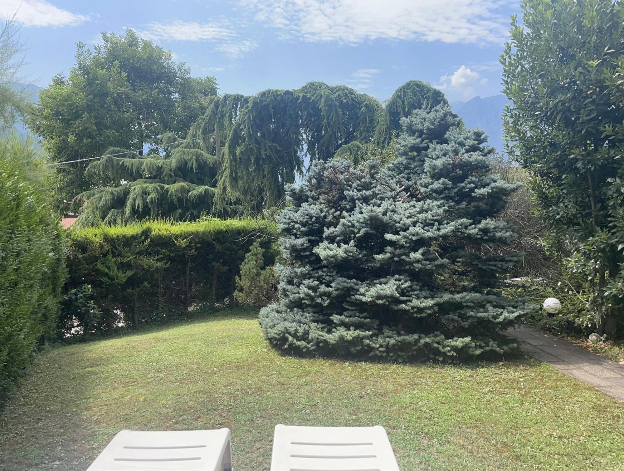 Villa Natura Appartamento Open Space Con Giardino Trydent Zewnętrze zdjęcie